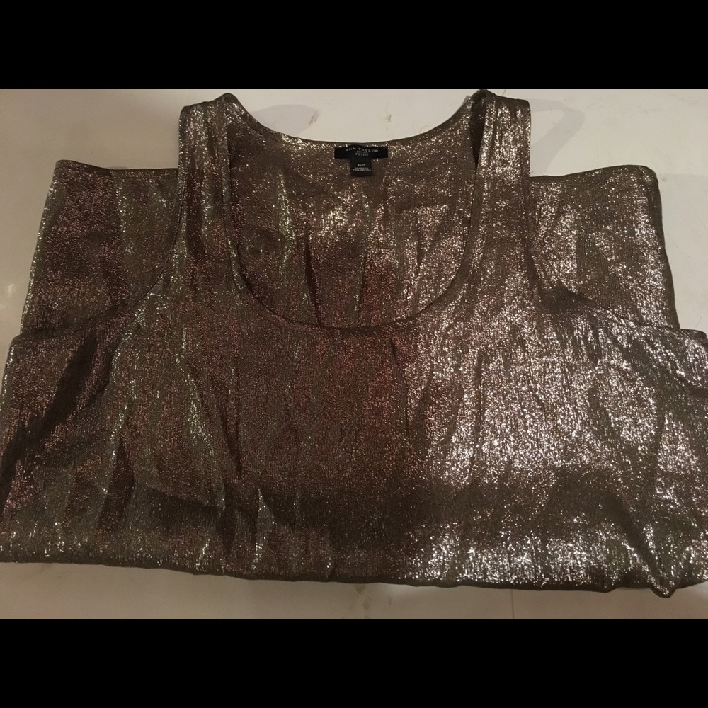 Ann taylor size Large